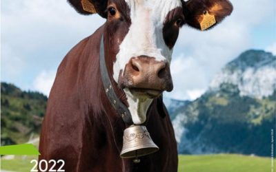 Le salon de l’agriculture 2022 du 26 février au 6 mars